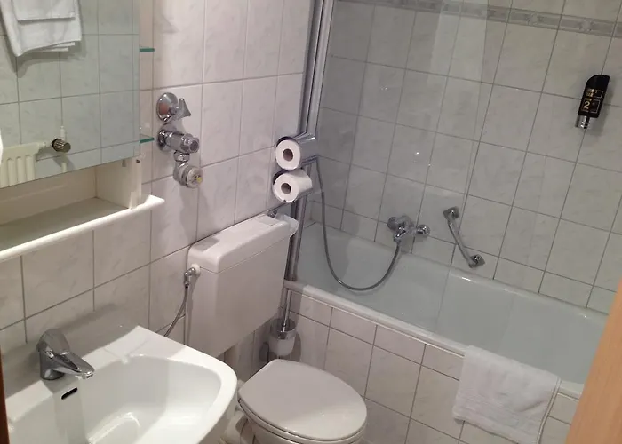 Hotel Alleenhof 3*