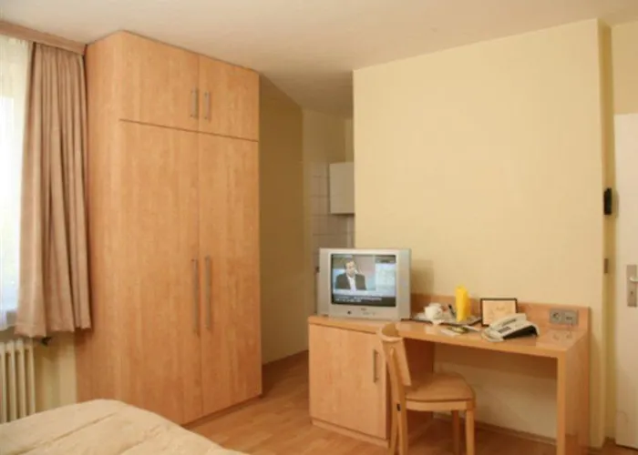 Hotel Alleenhof 3*