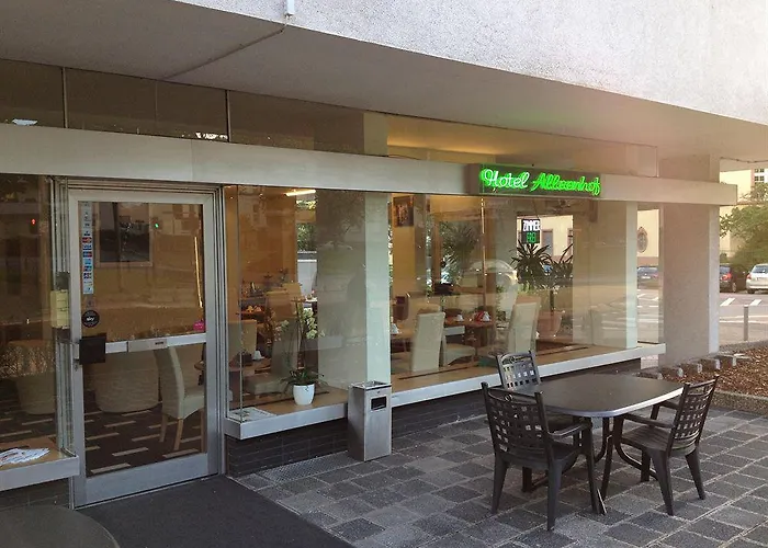 Hotel Alleenhof 3*